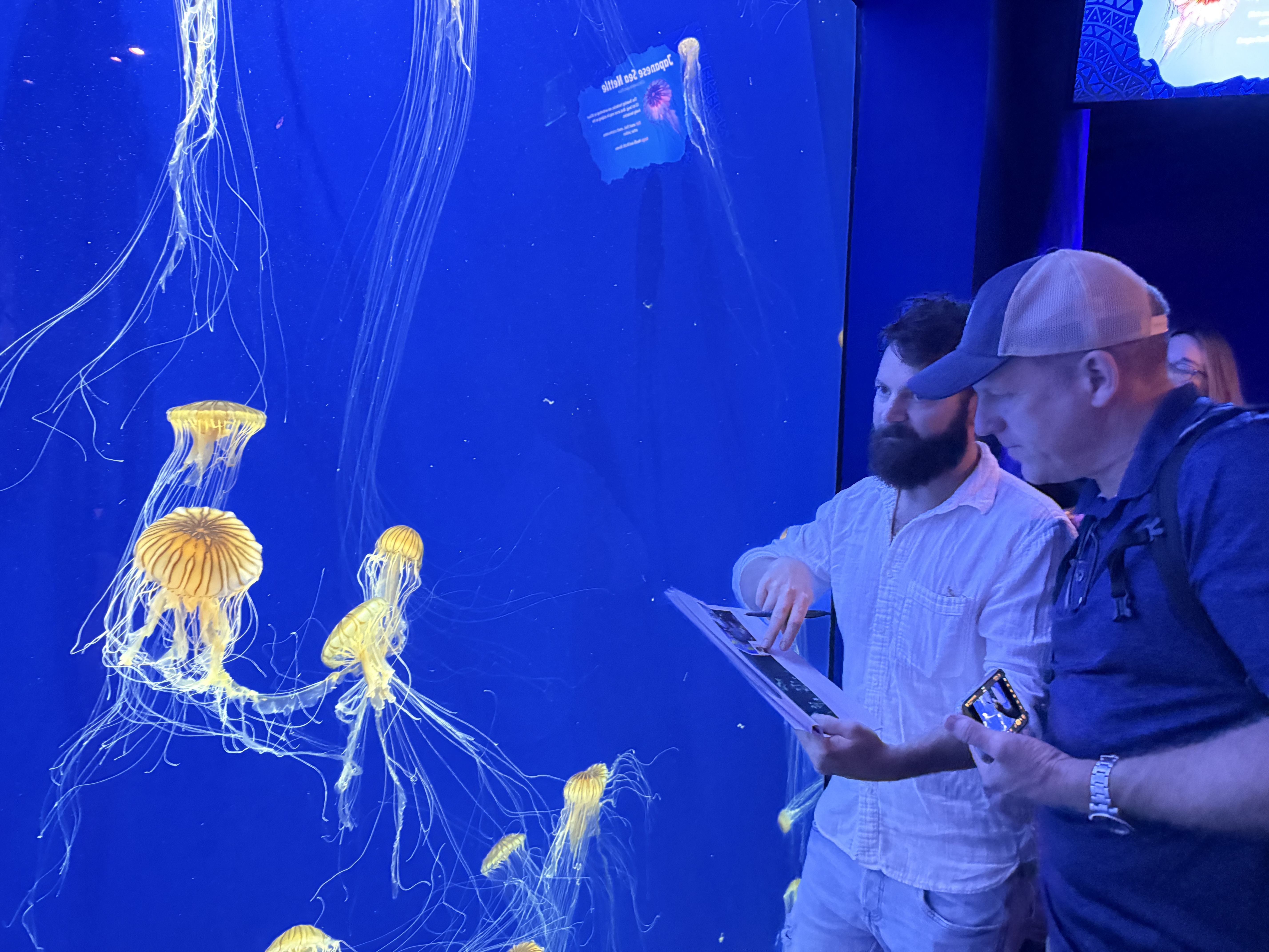 Georgia Aquarium — Behind the scenes, image 3