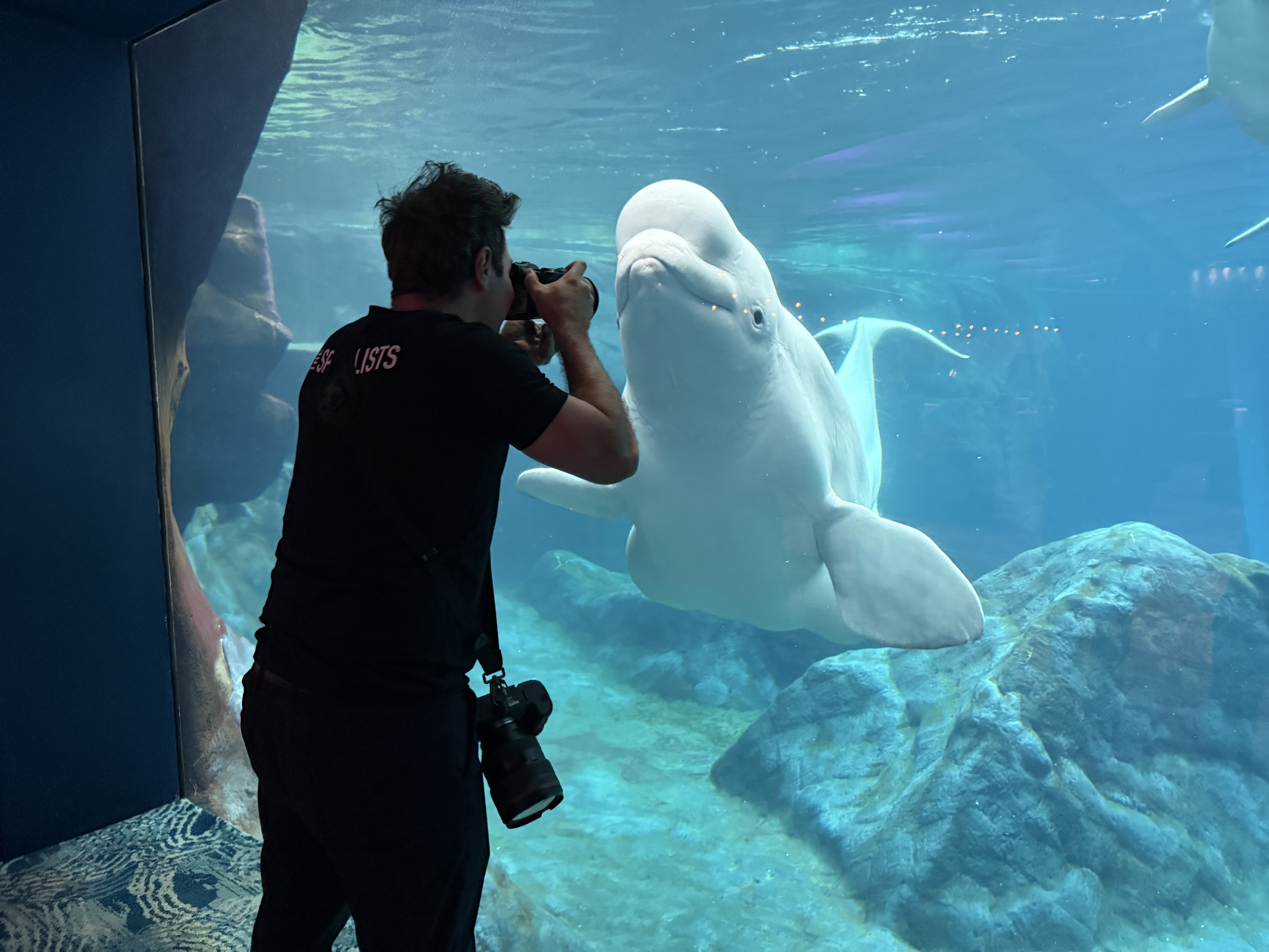 Georgia Aquarium — Behind the scenes, image 2