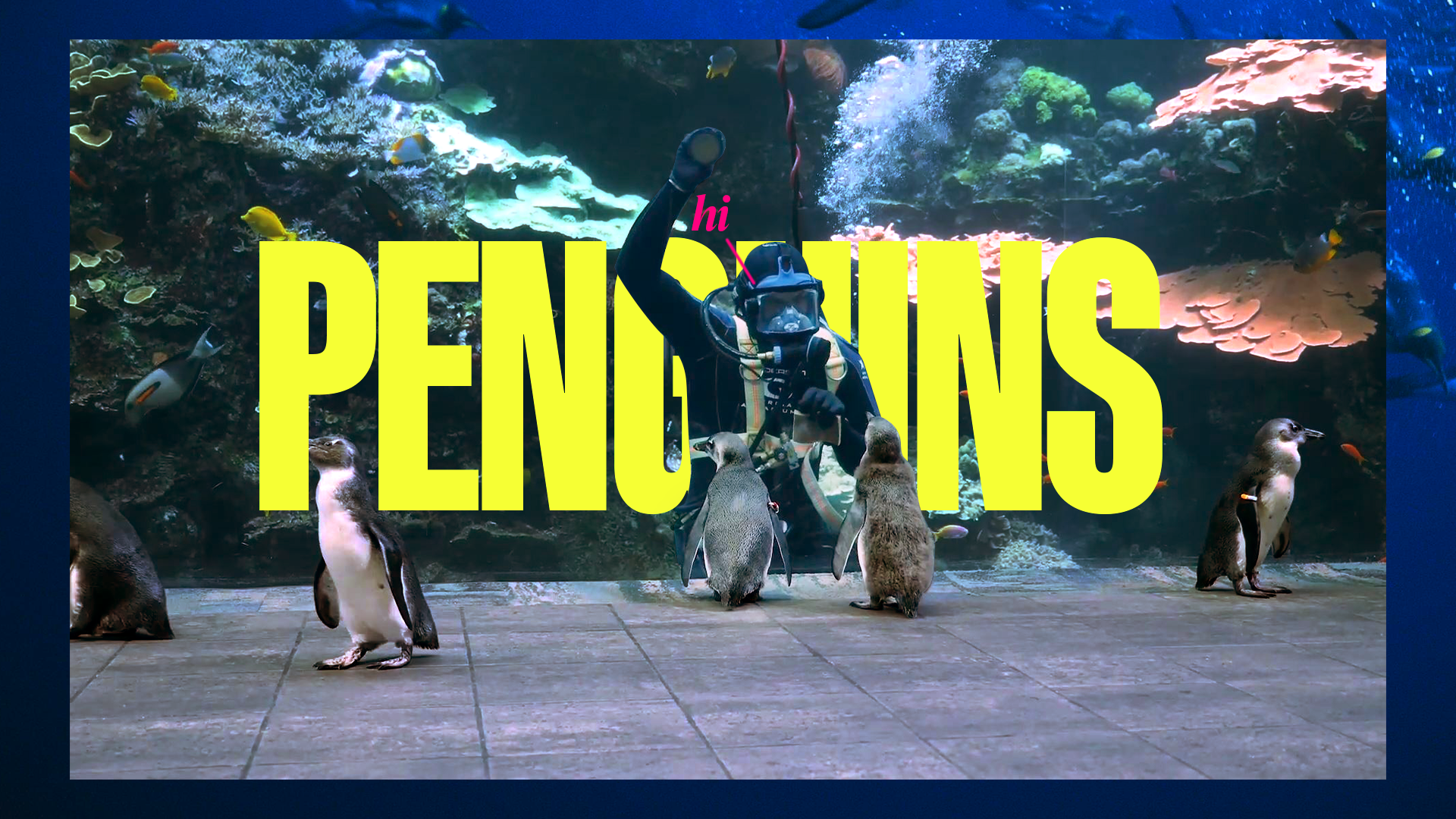 Georgia Aquarium — A playful visual language, image 2