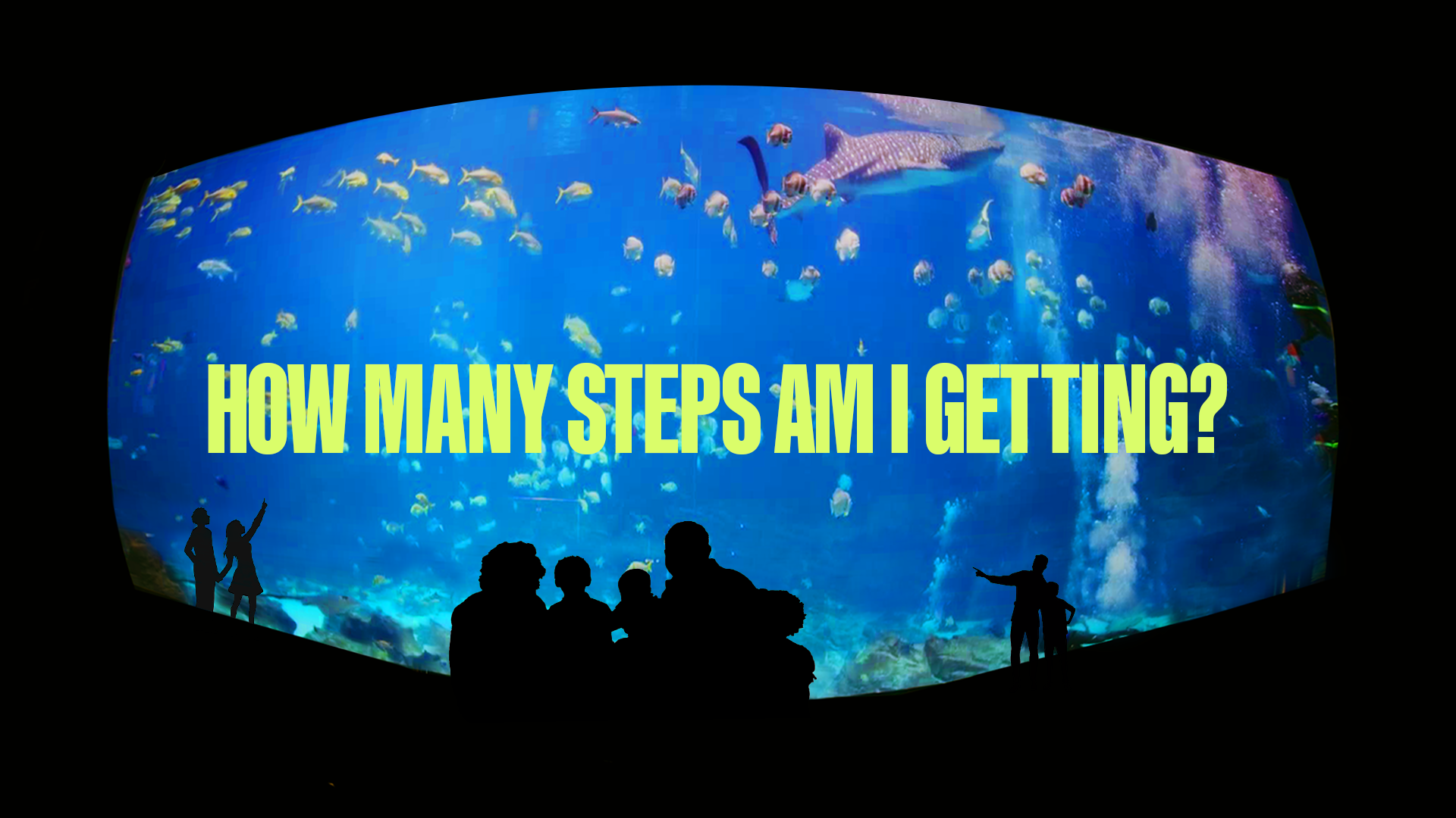 Georgia Aquarium — A playful visual language, image 1
