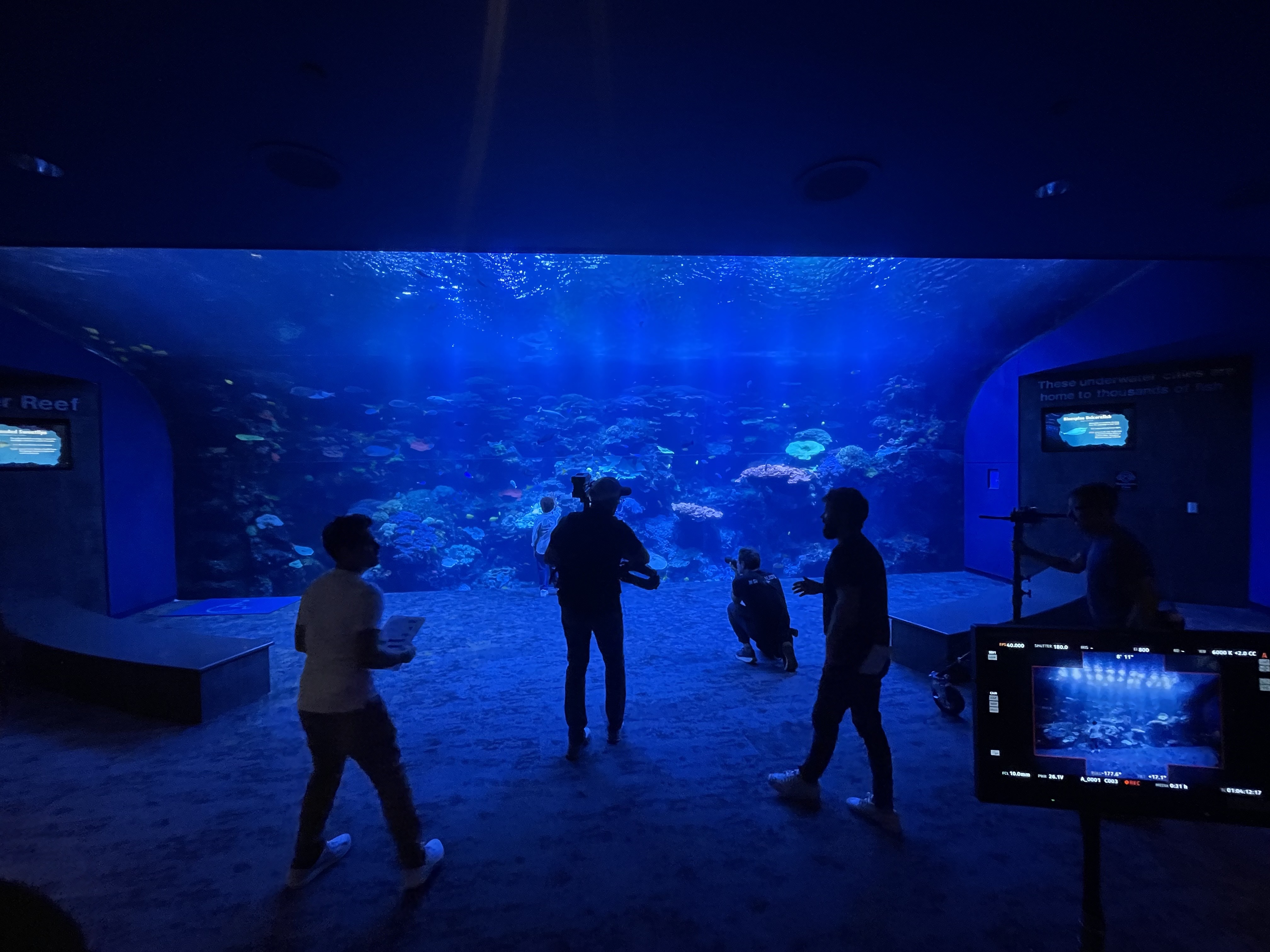 Georgia Aquarium — Behind the scenes, image 1